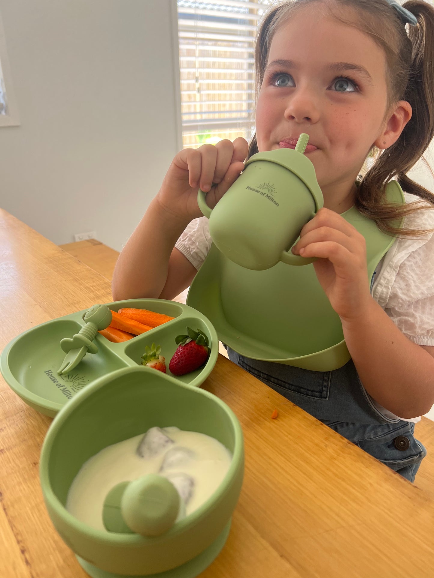 Explore our Silicone Baby Feeding Set, a perfect combination of safety and style for your little one's mealtime adventure. This BPA-free and hypoallergenic dinnerware includes soft silicone spoons, colorful plates with dividers, and a secure suction bowl. Our innovative and easy-to-clean design ensures a delightful and mess-free dining experience. Ideal for baby-led weaning, these non-toxic utensils are microwave-safe and feature an easy grip for tiny hands.